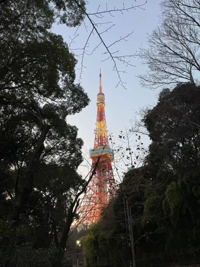 傍晚時分,東京鐵塔聳立在樹林後方,橘色的燈光與微亮的天空形成對比,前景有樹木枯枝橫越。