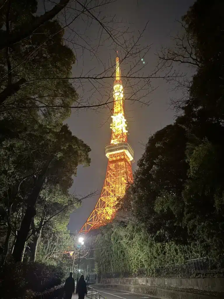 夜晚的小徑上,兩名行人的背影走在樹林環繞的道路,路徑盡頭是通體發光的東京鐵塔。