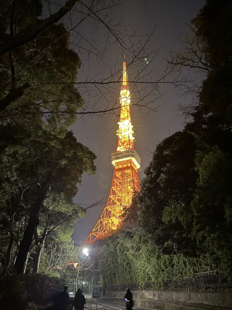 夜晚從林間步道仰望東京鐵塔,橘色燈光在樹梢間透出