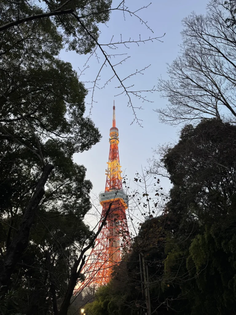 從樹林間遠望東京鐵塔,黃昏時分的鐵塔燈光逐漸亮起