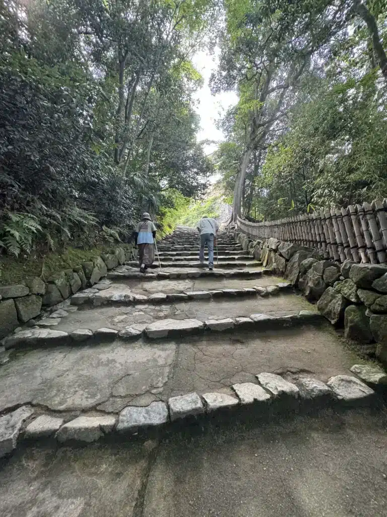 彥根城的石階坡道。