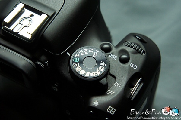Canon EOS 600D入手、開箱、 店內環境 Canon EOS 600D入手、開箱、 菜色
