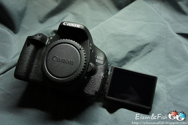 Canon EOS 600D入手、開箱、 店內環境 Canon EOS 600D入手、開箱、 菜色