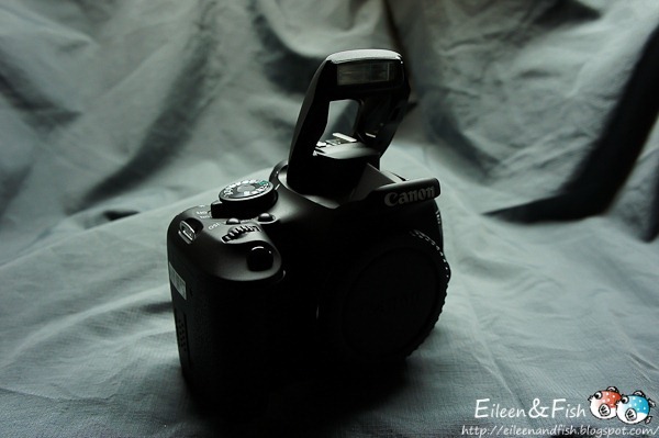 Canon EOS 600D入手、開箱、 美食特寫 Canon EOS 600D入手、開箱、 招牌料理