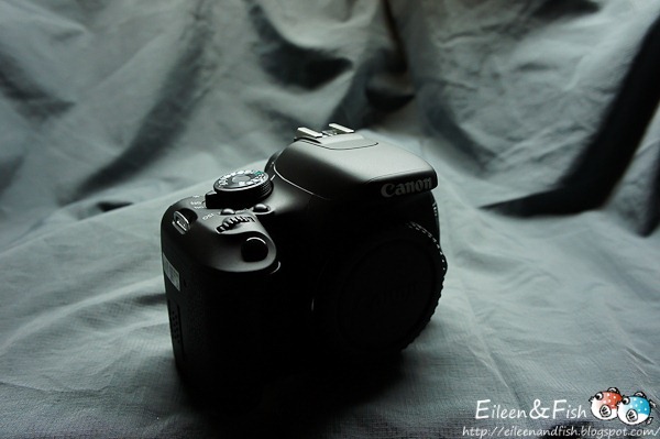 Canon EOS 600D入手、開箱、 餐點特寫 Canon EOS 600D入手、開箱、 用餐空間