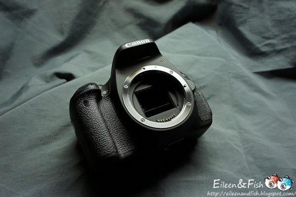 Canon EOS 600D入手、開箱、 美食特寫 Canon EOS 600D入手、開箱、 招牌料理
