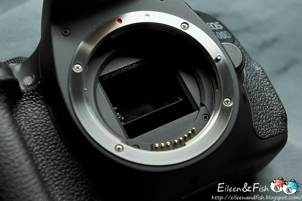 Canon EOS 600D入手、開箱、 餐點特寫 Canon EOS 600D入手、開箱、 用餐空間