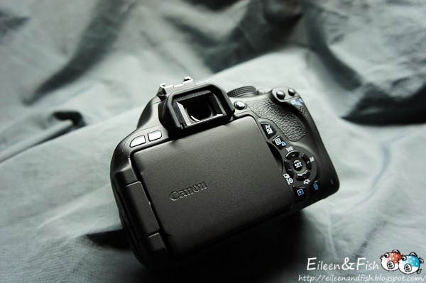Canon EOS 600D入手、開箱、 餐點 Canon EOS 600D入手、開箱、