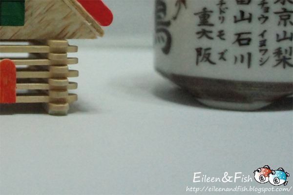 20100703-NEX5-4-5
