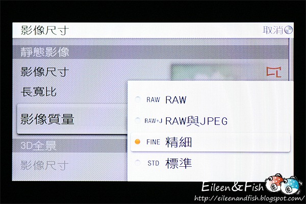 20100703-NEX5-3-13