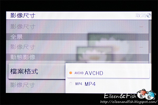 20100703-NEX5-3-14