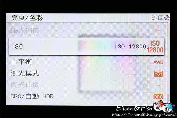 20100703-NEX5-3-15