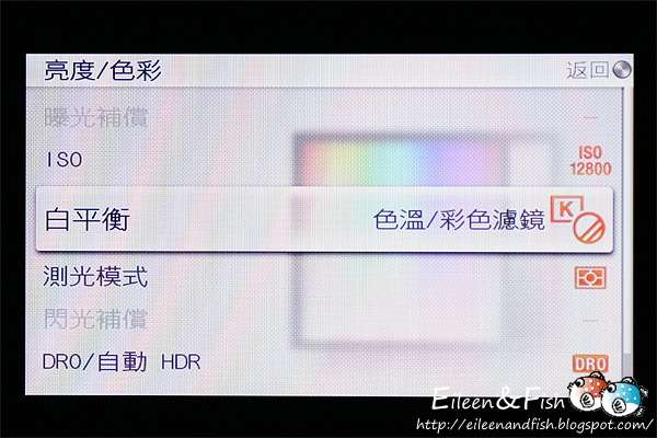 20100703-NEX5-3-16