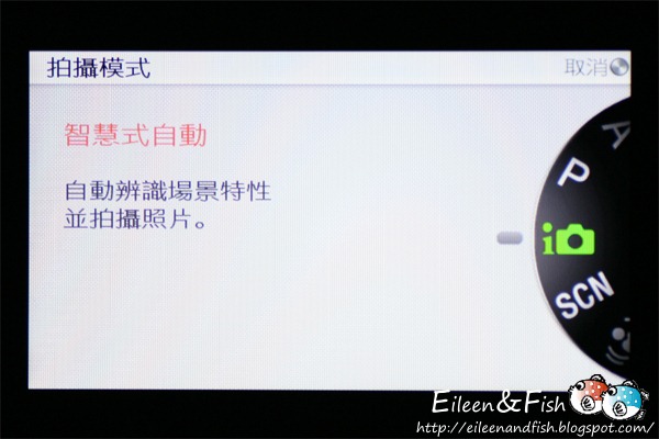 20100703-NEX5-3-01