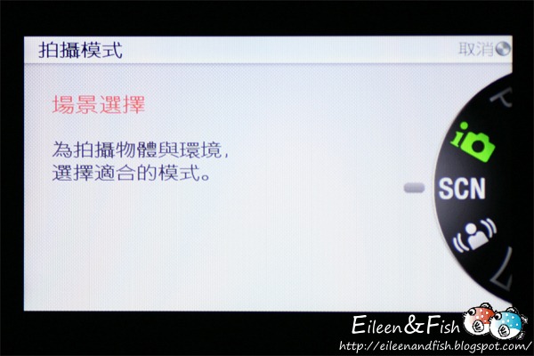 20100703-NEX5-3-02