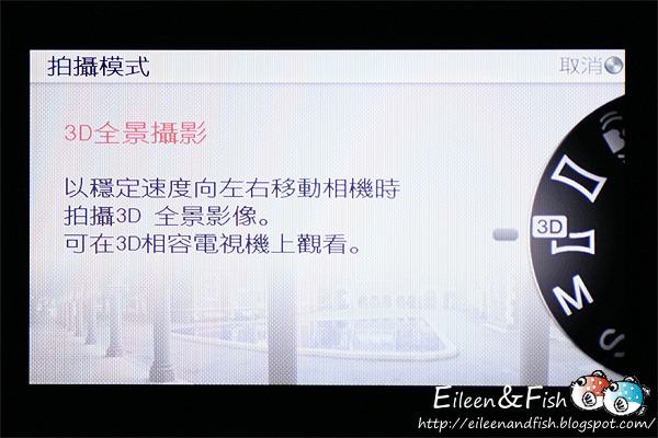 20100703-NEX5-3-05