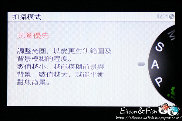 20100703-NEX5-3-08