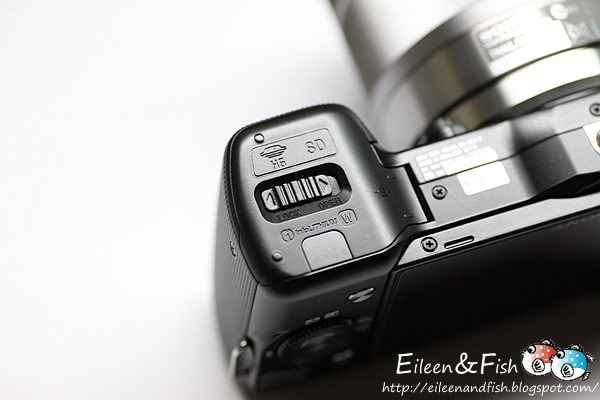 20100703-NEX5-209
