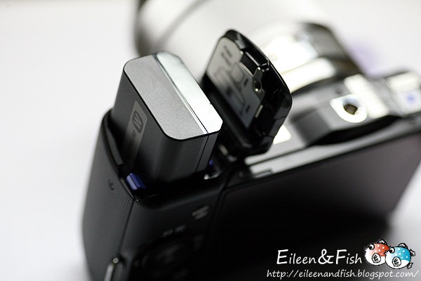 20100703-NEX5-211