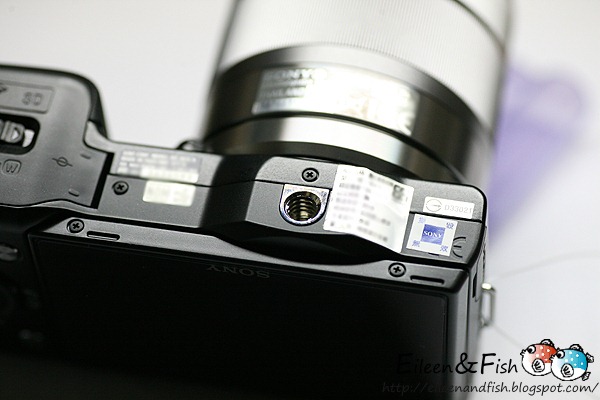 20100703-NEX5-213