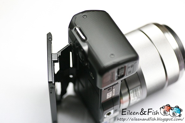 20100703-NEX5-214