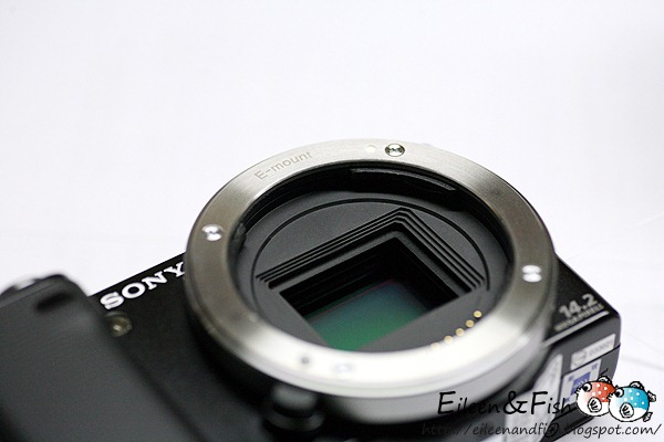 20100703-NEX5-217