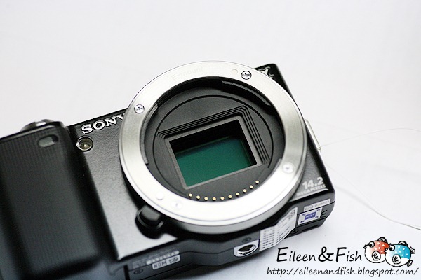 20100703-NEX5-218