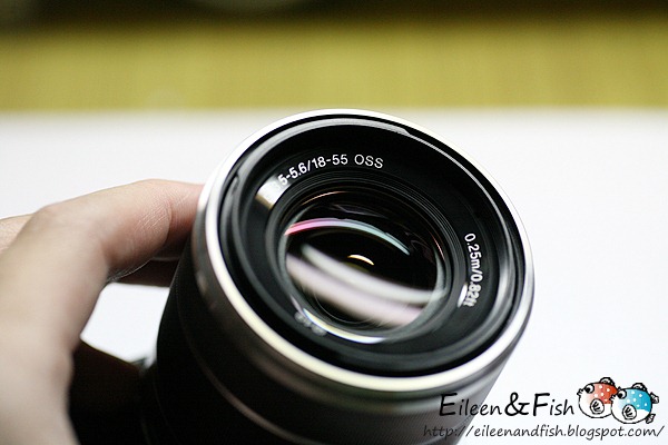 20100703-NEX5-220