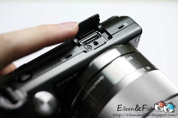 20100703-NEX5-221