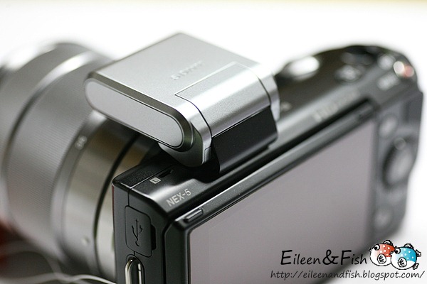 20100703-NEX5-226