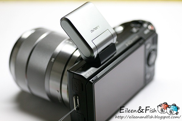 20100703-NEX5-227