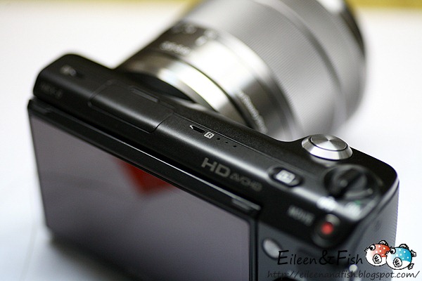 20100703-NEX5-201