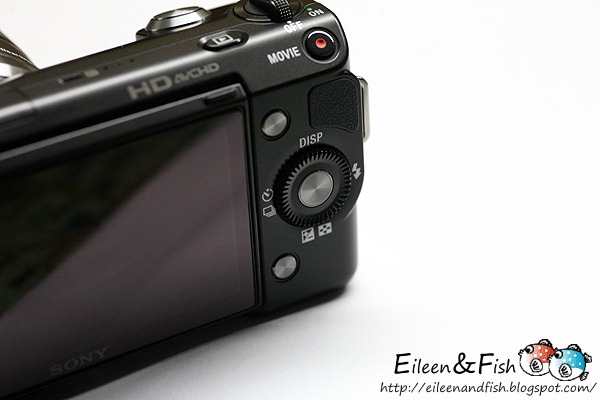 20100703-NEX5-204