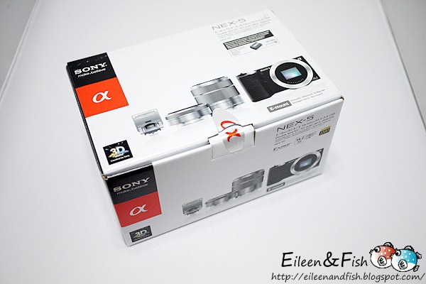 20100703-NEX5-1-00
