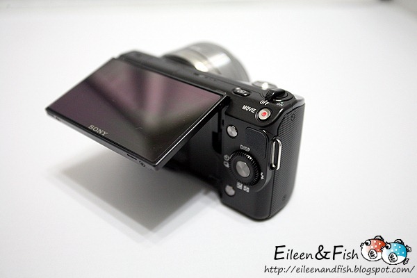 20100703-NEX5-1-11