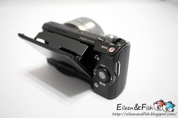 20100703-NEX5-1-12