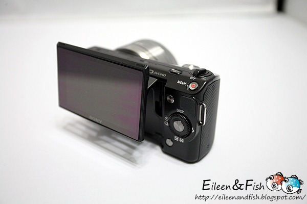 20100703-NEX5-1-13