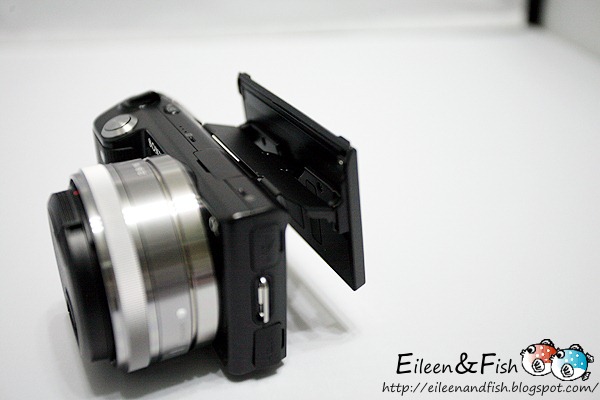 20100703-NEX5-1-14