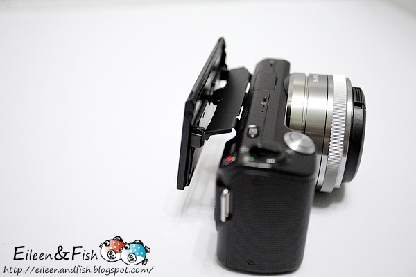 20100703-NEX5-1-15