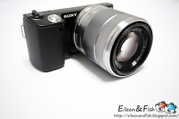 20100703-NEX5-1-17