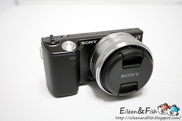 20100703-NEX5-1-06