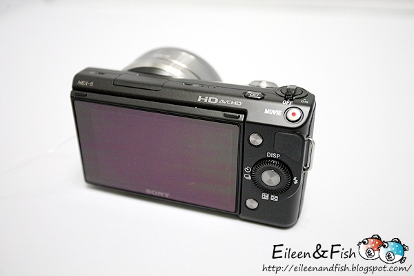 20100703-NEX5-1-07