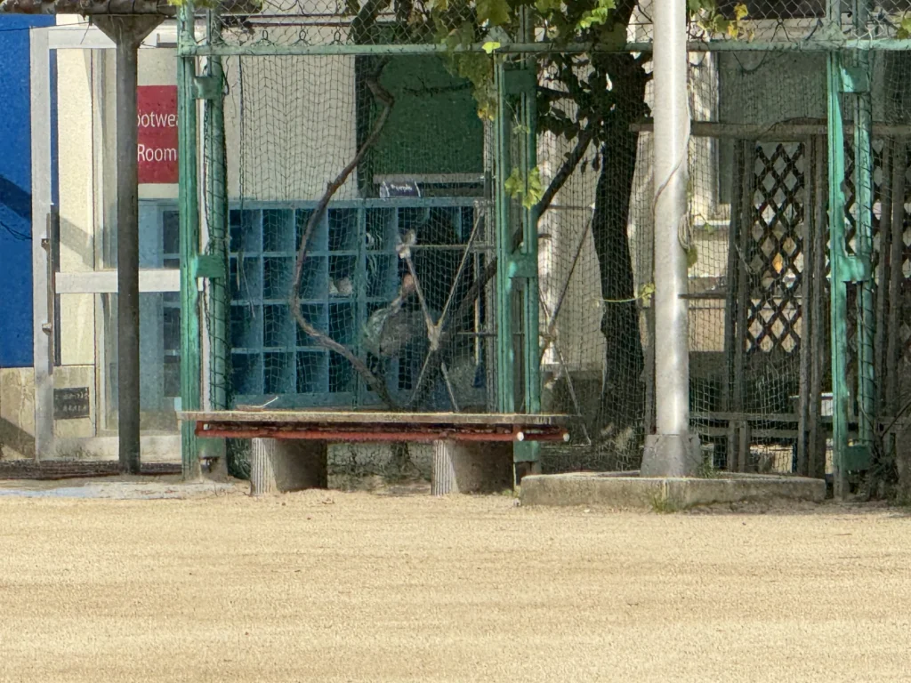 大阪 YMCA 國際學校操場邊的鞋櫃和長椅