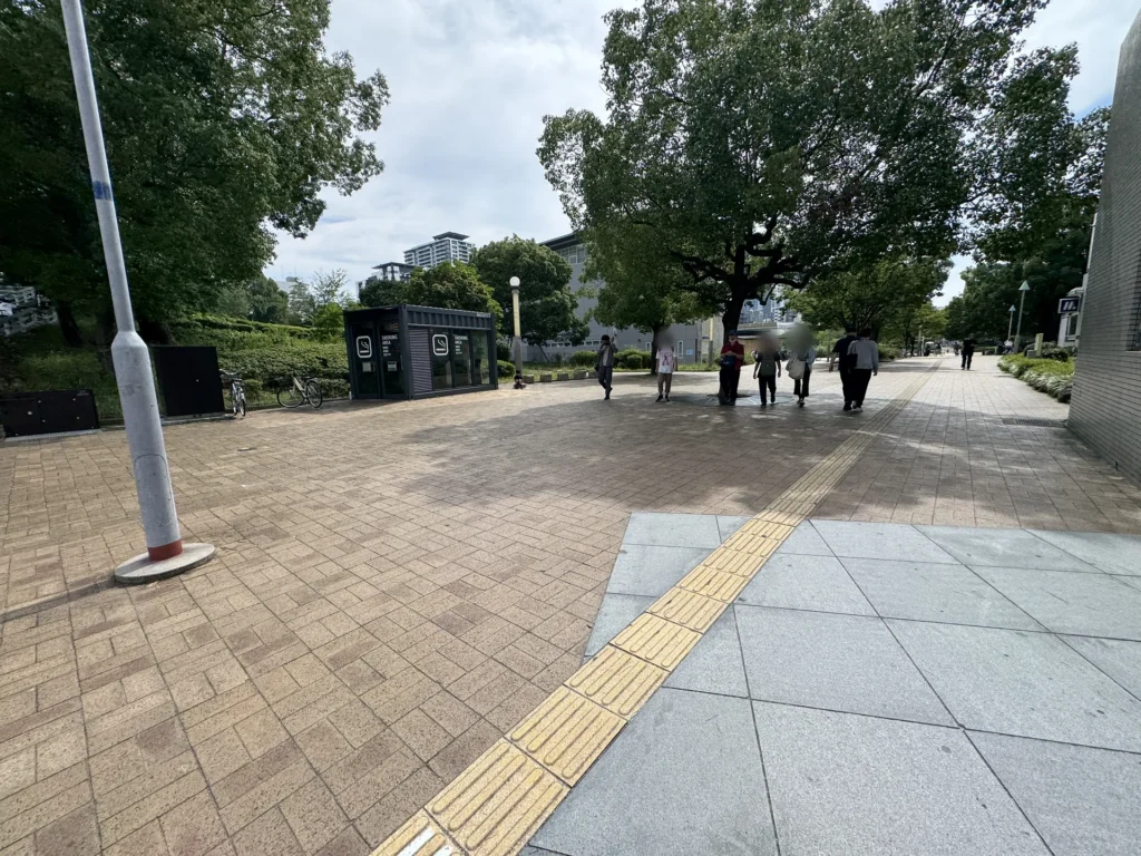 扇町公園裡的步道，兩旁是大樹