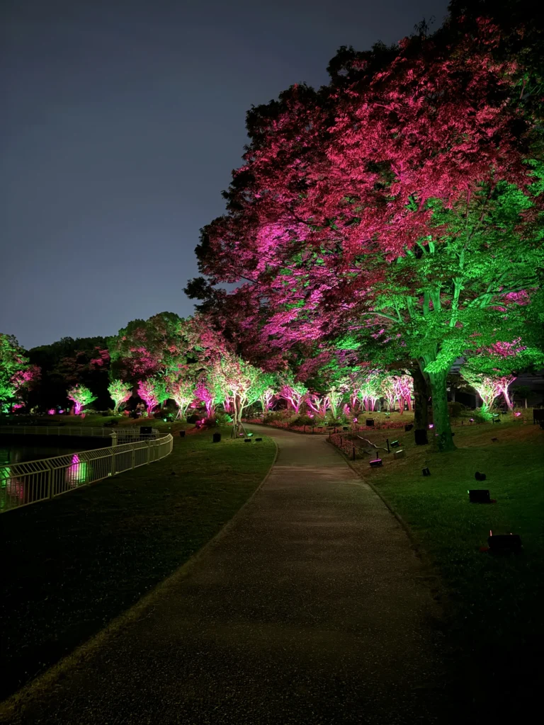 teamLab Botanical Garden Osaka，樹被打上紅色和綠色的燈