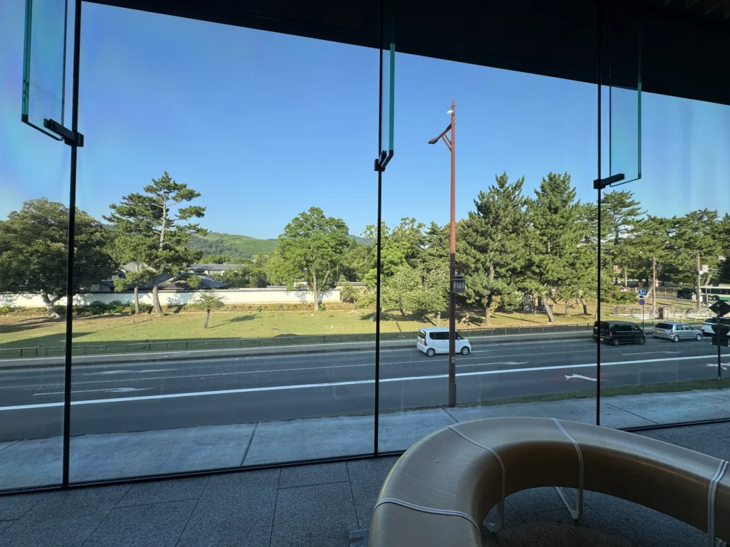 從星巴克的落地窗往外看，奈良公園的草地和松樹