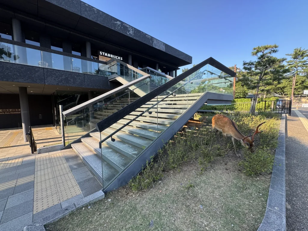 奈良公園星巴克的樓梯旁，一隻鹿在草地上低頭吃草