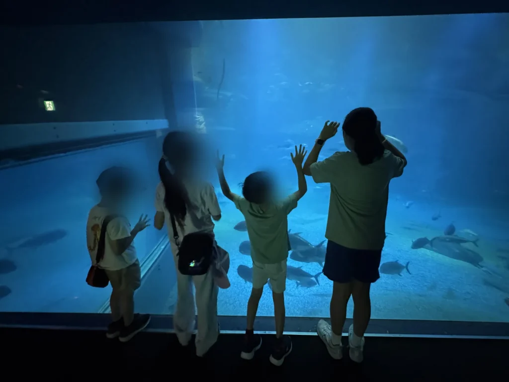 小孩們貼在海遊館的大水槽前，舉手看魚游過去